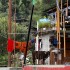 Spotkanie na Przeleczy Zlot w Himalajach Pierwszy Etap - 28 Swiete krowy w Indiach